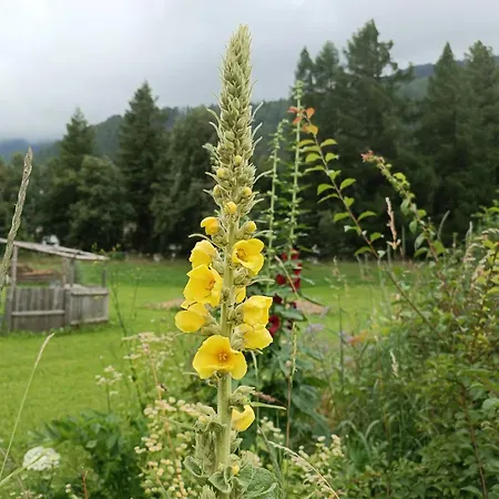 Michls Hoamat Dreibettzimmer * Sölden