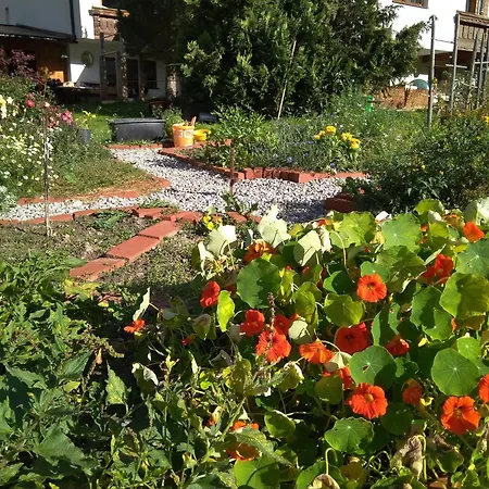 Geraeumiges Dreibettzimmer Mit Terrasse Quarto em Acomodações Particulares Sölden