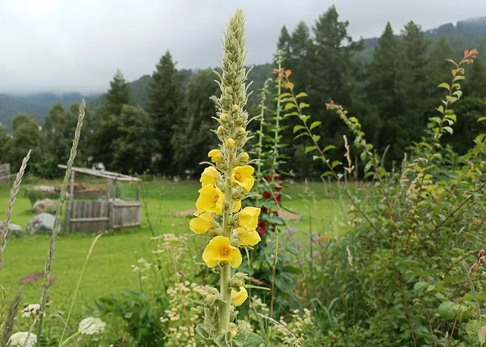 Michls Hoamat Dreibettzimmer * Зёльден