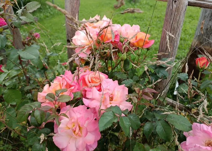 Проживание в семье Michls Hoamat Dreibettzimmer